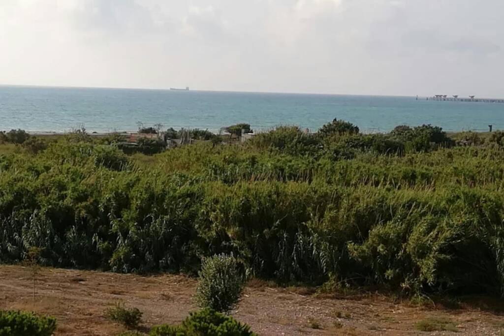 Apartamento Playa Canet 발렌시아 외부 사진